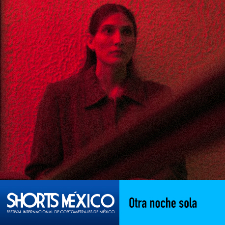17° Shorts México. Programa 45